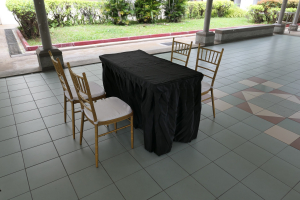 Tiffany chair with rectangle table